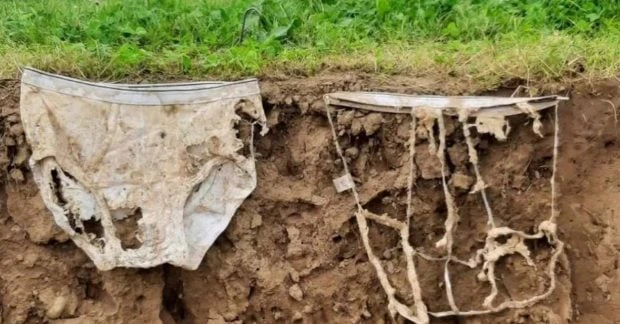 У Швейцарії закопали 2000 трусів і дочекалися несподіваного результату
